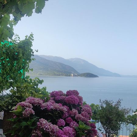 Villa Malezan Ohrid Bagian luar foto