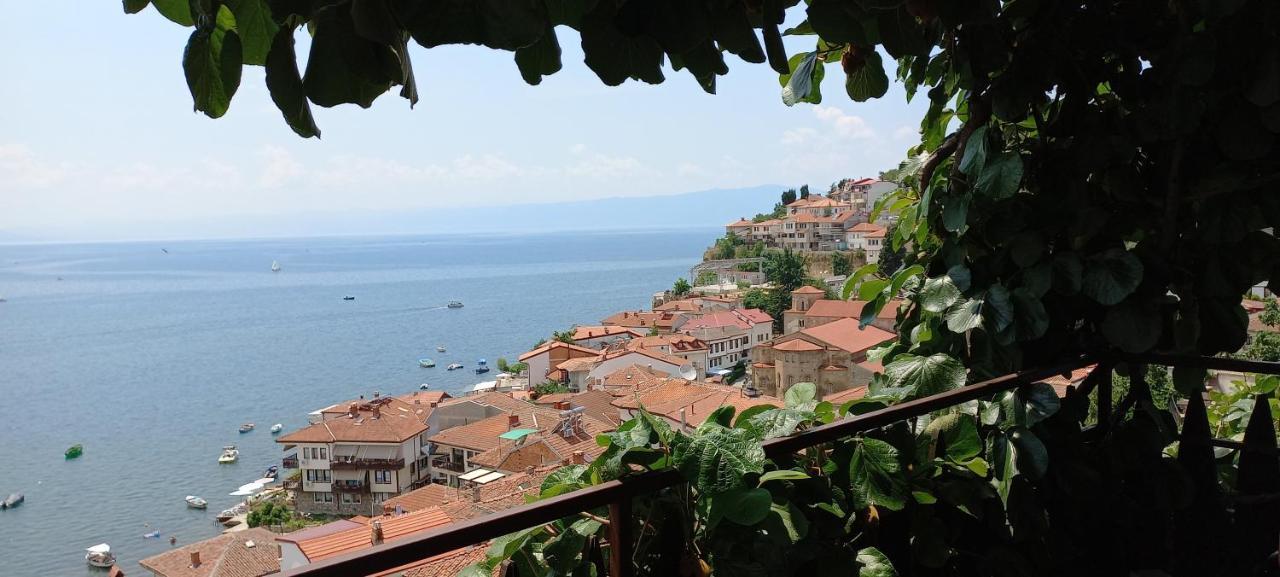 Villa Malezan Ohrid Bagian luar foto