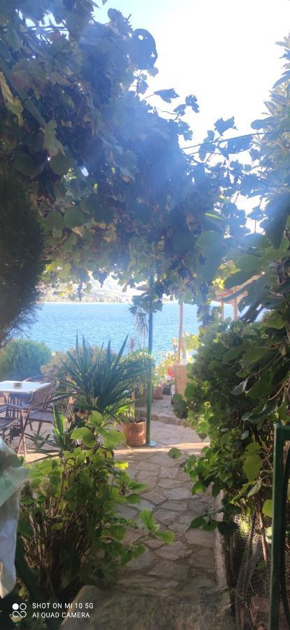Villa Malezan Ohrid Bagian luar foto