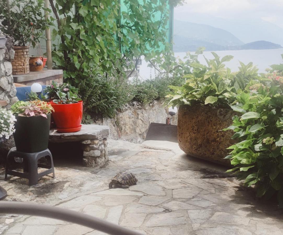 Villa Malezan Ohrid Bagian luar foto