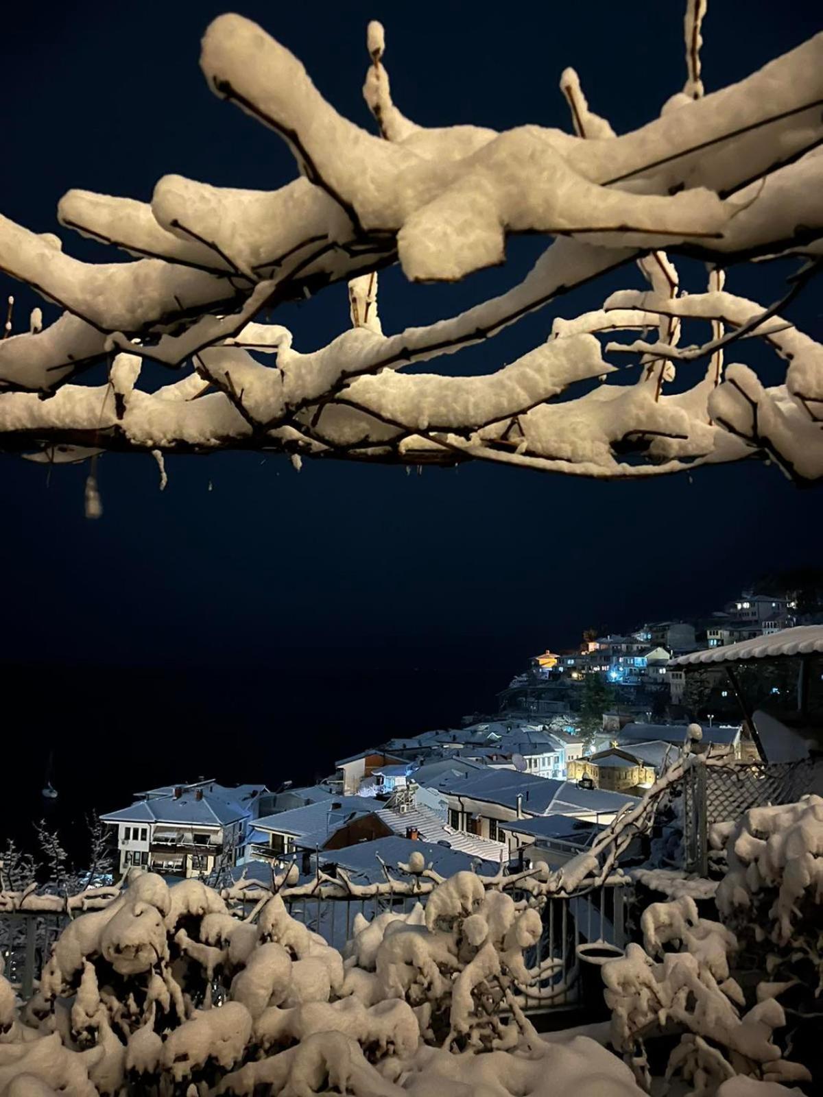 Villa Malezan Ohrid Bagian luar foto