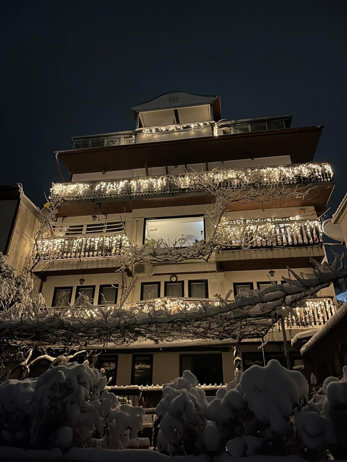 Villa Malezan Ohrid Bagian luar foto