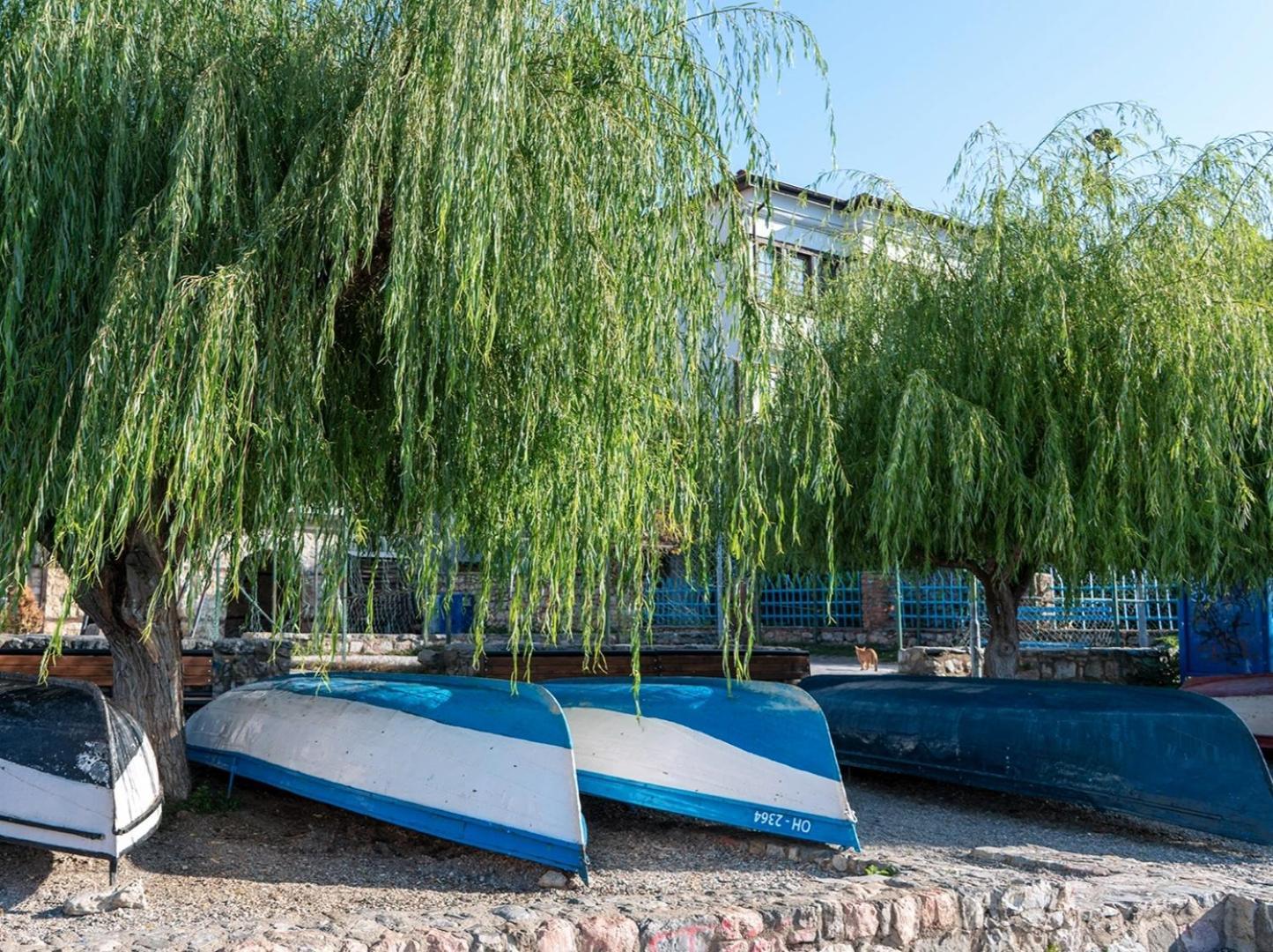 Villa Malezan Ohrid Bagian luar foto