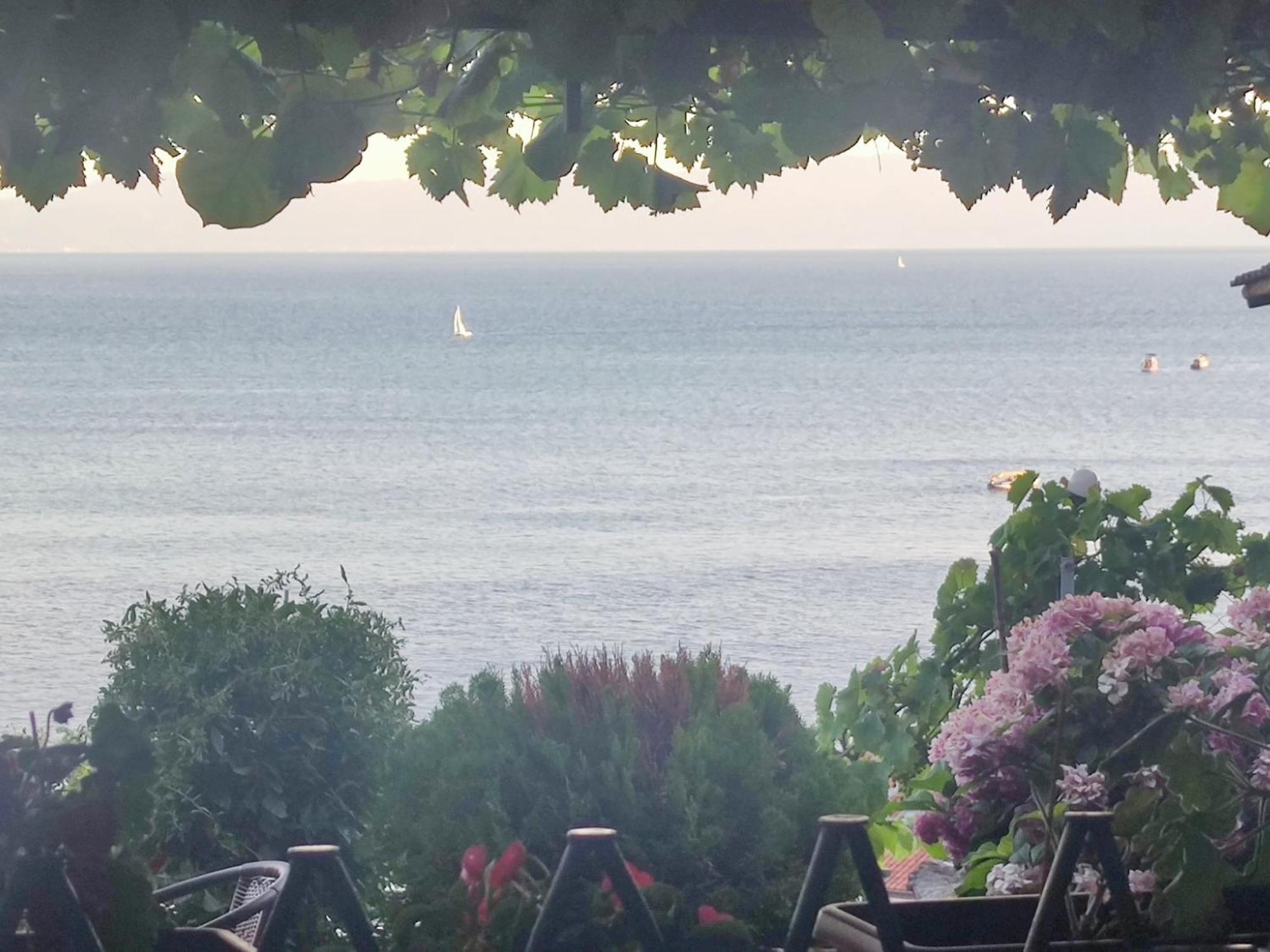 Villa Malezan Ohrid Bagian luar foto