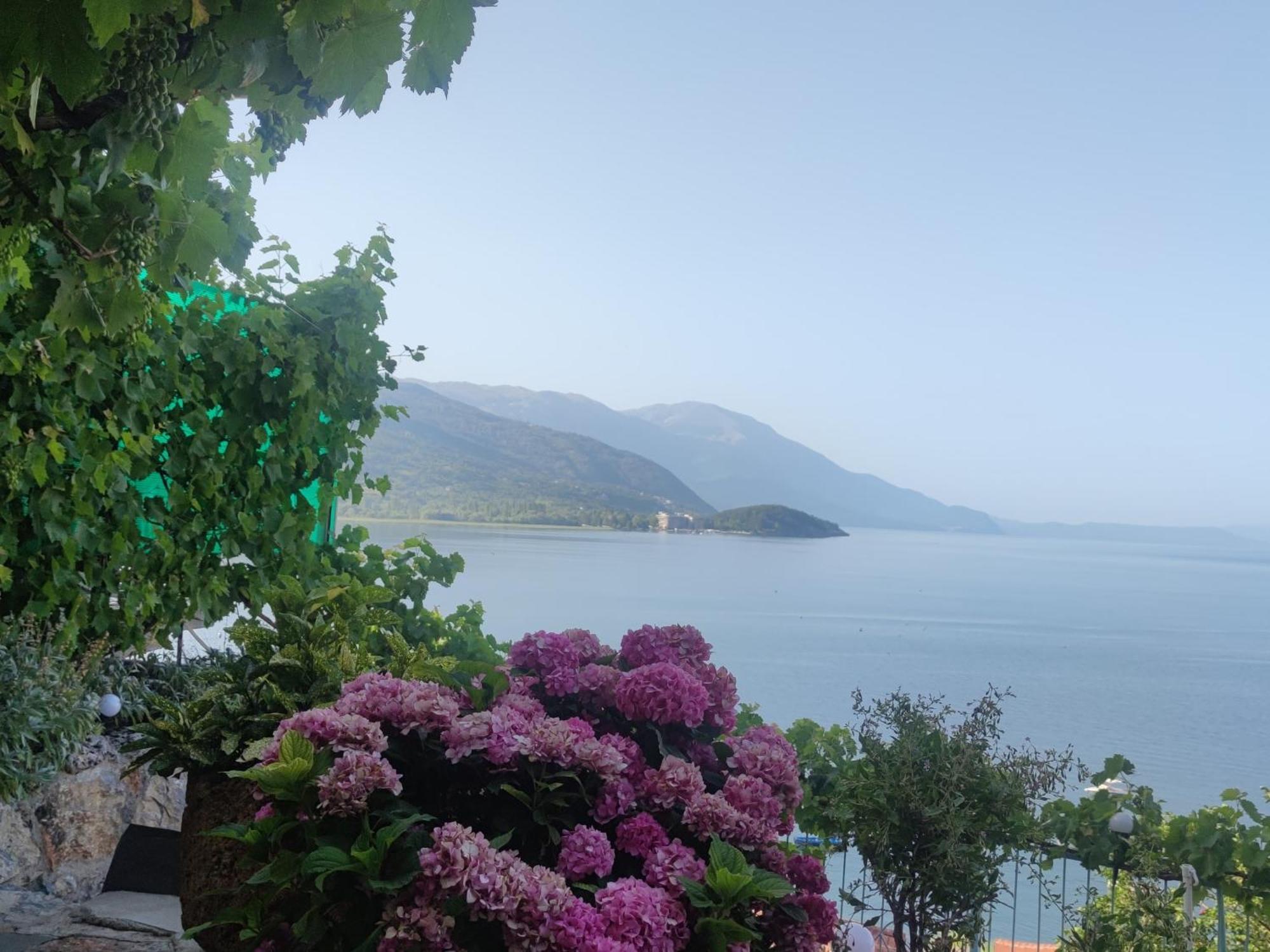 Villa Malezan Ohrid Bagian luar foto